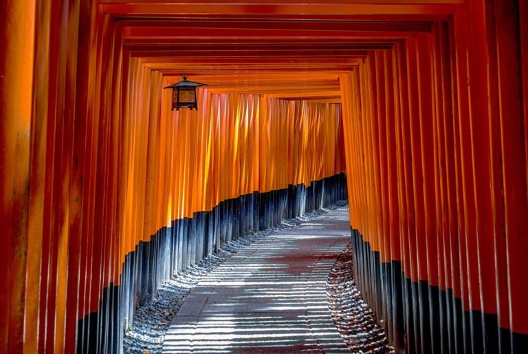 fushimi inari shrine 1886975 1920